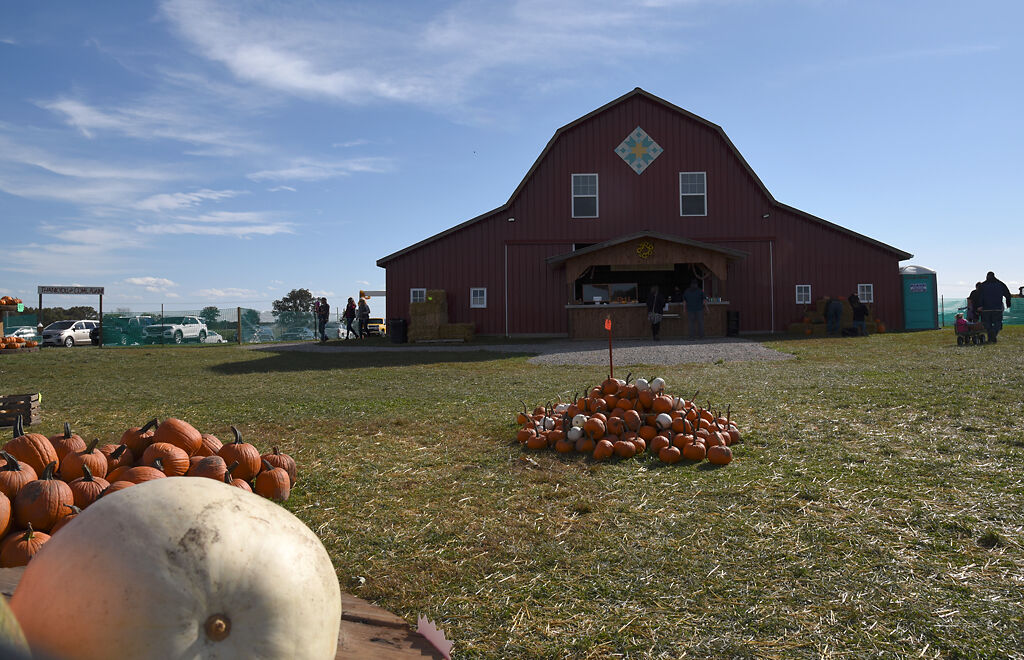 Visitors walk around the property of Lloyd's Family Farm on Friday in Ashland, Missouri